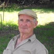 Mr. David L. Pettis Sr.