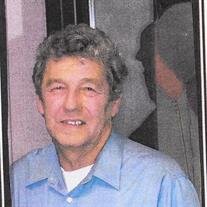 Robert J Piotrowski