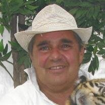 Mr. Michael A. Pelton