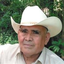 Cirilo  Chihuahua Zamora
