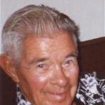 John H Anderson