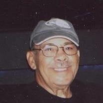 Michael F. Martinelli