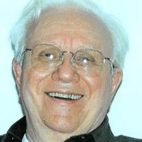 Domenick  T.  Torrillo 