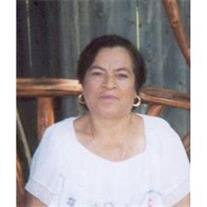Eloisa V. Vargas