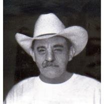 Gary F. Metcalfe