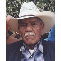 Domingo M. Martinez, Sr.