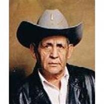 Rodrigo S Gamboa