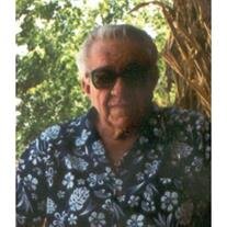 Warren H. Wiese