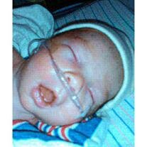Maximus Matthew Morales
