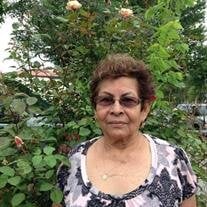 Aurea Rivera