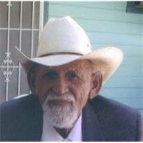 Robert Guerra