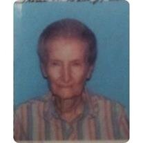 Maxine Tripp