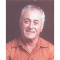 Pedro Delgado Arellano
