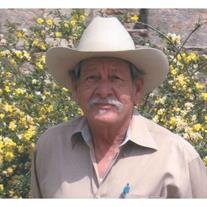 Frank Pancho Graf