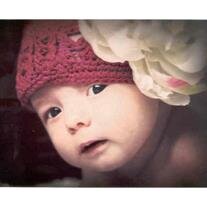 Baby Addison Ruth Wente
