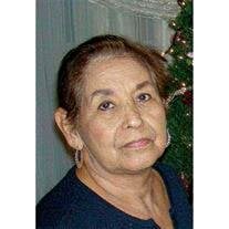 Yolanda Yanez Guerra