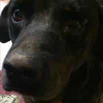 Hooch Raley