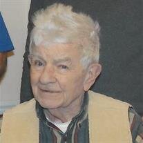 Mr. Robert B. Gillies