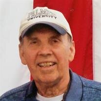 Mr John Gil Palmer