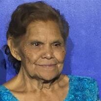 Maria Luisa Trevino