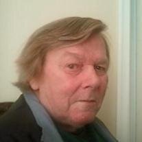 Vernon Fredrick Walls