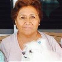 Natividad Lizana "OMA"