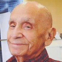 Fred Gammino