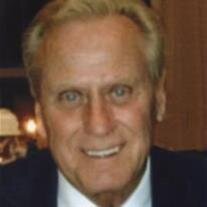 David  Louis  Napier