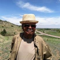 Willie Watkins