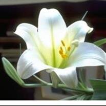 Mrs. Chessery Domenique Holland