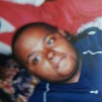 Mr. Al Leroy Jenkins Jr.