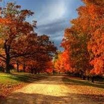 Ms. Martha Alice Aly