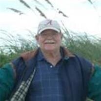 Mr Julius  Allen Williamson 