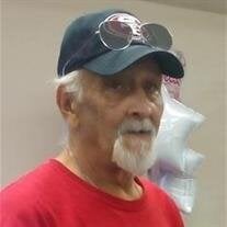 David P. Warrior