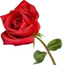 Mrs. Dianne Marie Frank Henry