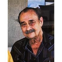 Theodore James Petrosky