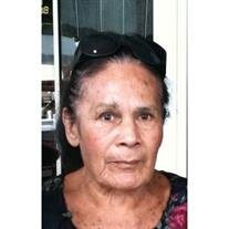 Guadalupe Ortiz Elizaldo