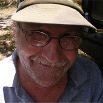 Robert M Harrison