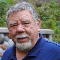 Mr. Lawrence "Larry" P. Lyon