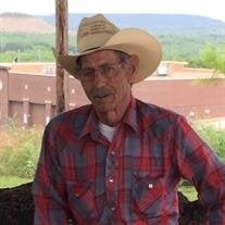 Mr. Harold Stanley