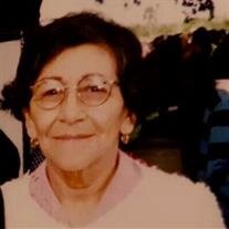 Maria  Elva Salinas de Hinojosa