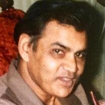 Mr.  Ramesh Ramnidh