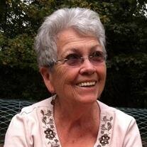 Sarah E. Vincent