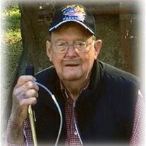 Virgil Fred Sterling