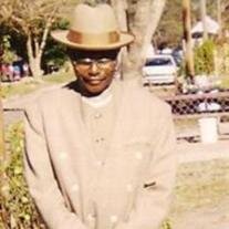 Mr William Henry Lee