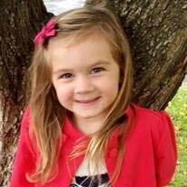 Regan Elizabeth Shetsky