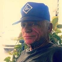 Mr.  Robert Fiegl