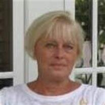 Starlette C Kikta