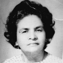 Teresa E.  Herrera Sandoval
