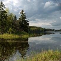 Robert "Ellzy" Johnson